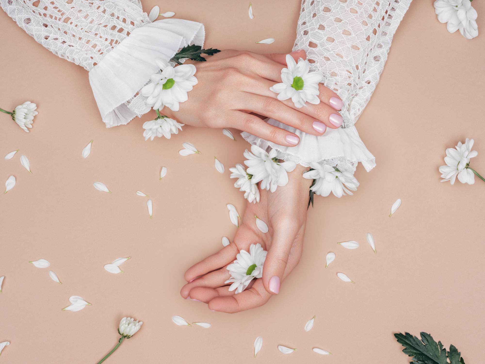 Photo of beautiful woman's hands and flowers
