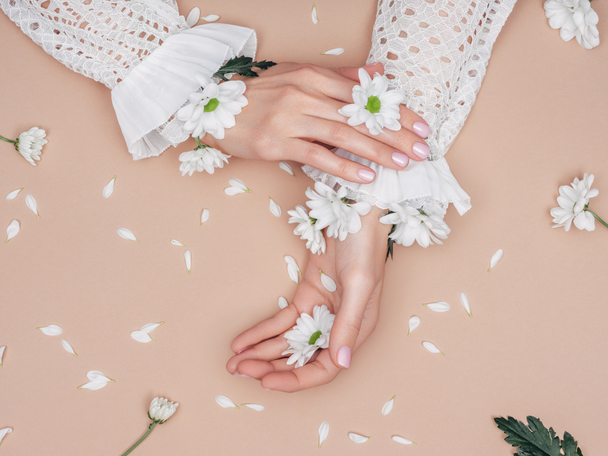 Photo of beautiful woman’s hands and flowers Photo of beautiful woman's hands and flowers