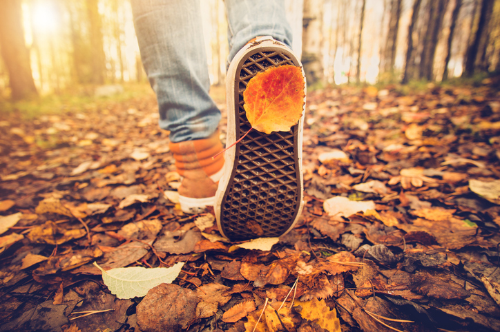 Feet sneakers walking on fall leaves Outdoor Autumn season